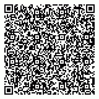 vCard 79397165533