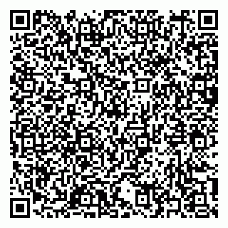 vCard 79397165537
