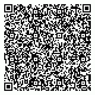 vCard 79397165699