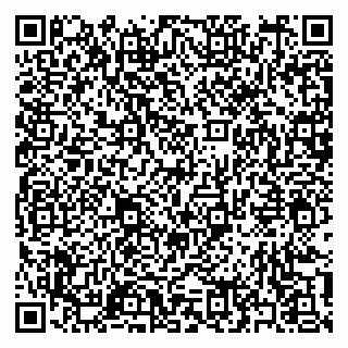 vCard 79397165713