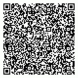 vCard 79397165714