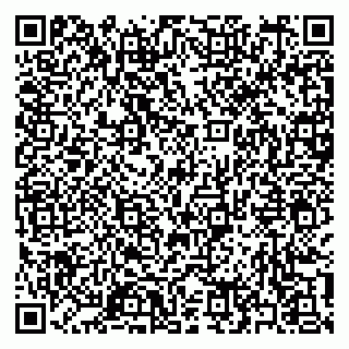 vCard 79397165729