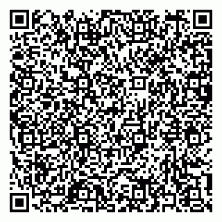 vCard 79397165731