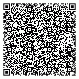 vCard 79397165893