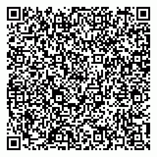 vCard 79397165900