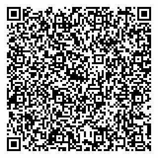 vCard 79397166543