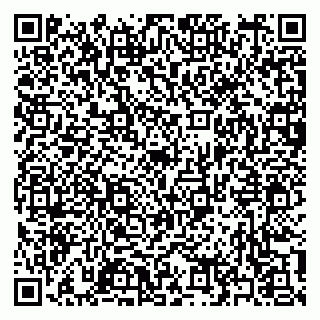 vCard 79397166735