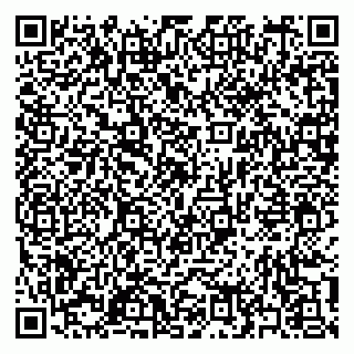 vCard 79397167091