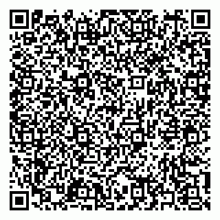 vCard 79397167295