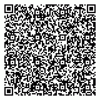 vCard 79397167381