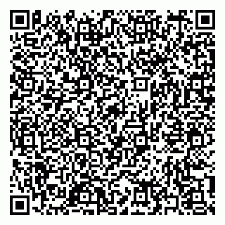 vCard 79397167385