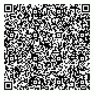 vCard 79397167411