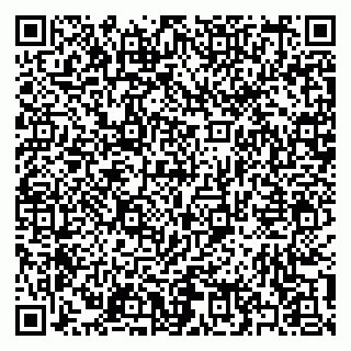 vCard 79397167500