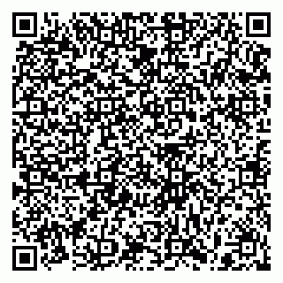 vCard 79397167503