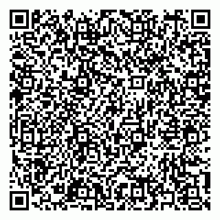 vCard 79397167507