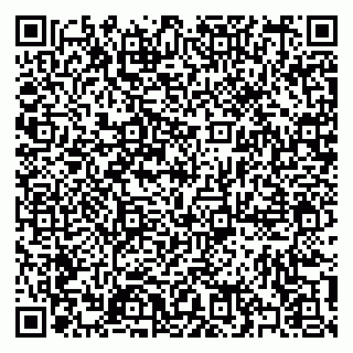 vCard 79397197087