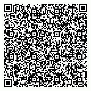 vCard 79397198711
