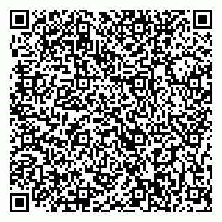 vCard 79397300035