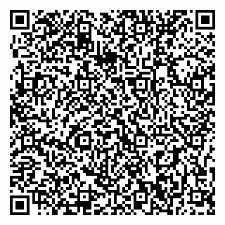 vCard 79397300041
