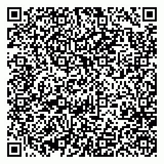 vCard 79397300080