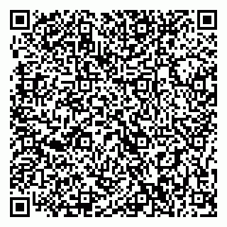 vCard 79397300137