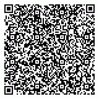 vCard 79397300141
