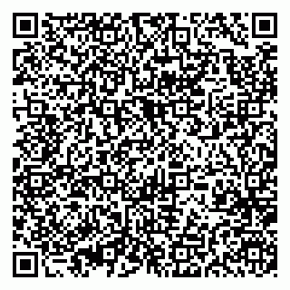 vCard 79397300173