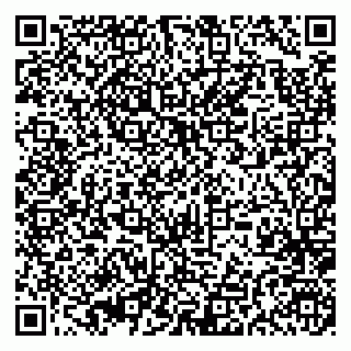 vCard 79397300177