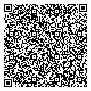 vCard 79397300199