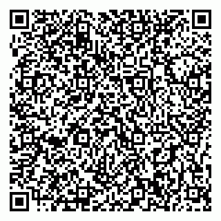 vCard 79397300204