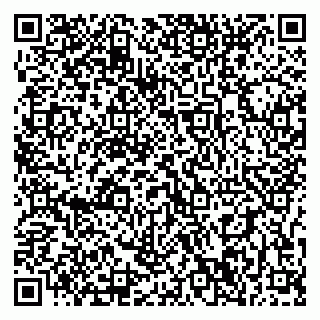 vCard 79397300217
