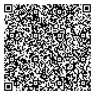 vCard 79397300235