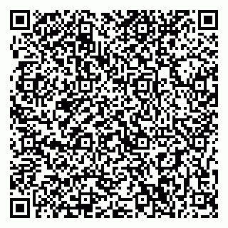 vCard 79397300247