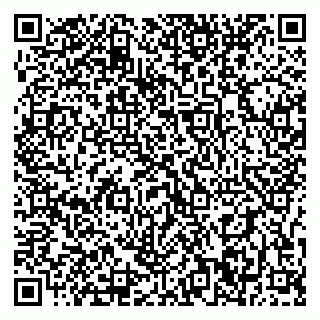 vCard 79397300249