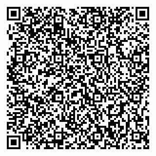 vCard 79397300272