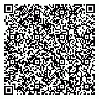 vCard 79397300281