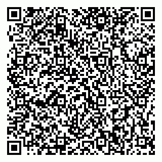 vCard 79397300285