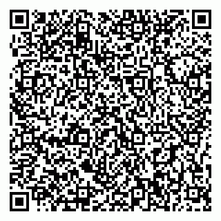 vCard 79397300305