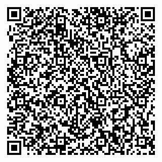 vCard 79397300313