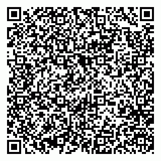 vCard 79397300333