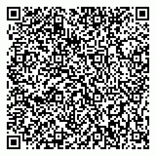 vCard 79397300335
