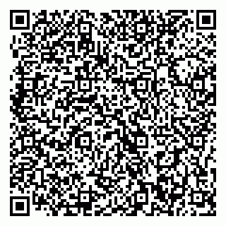 vCard 79397300388