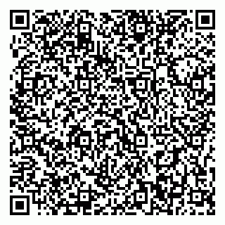 vCard 79397300389
