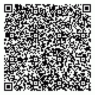 vCard 79397704995