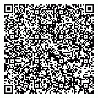 vCard 79397706199