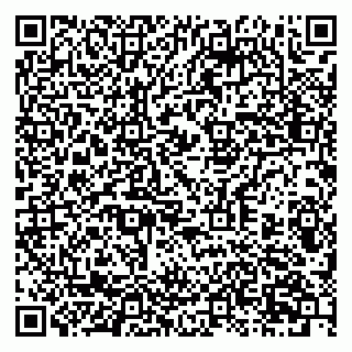 vCard 79397706531