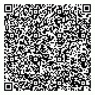 vCard 79397707287