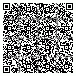 vCard 79397707295
