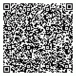 vCard 79397707299