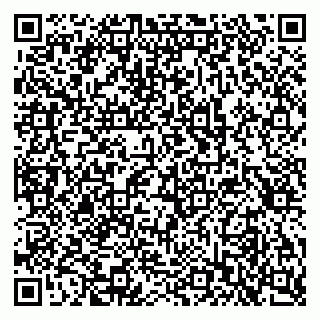 vCard 79397707331